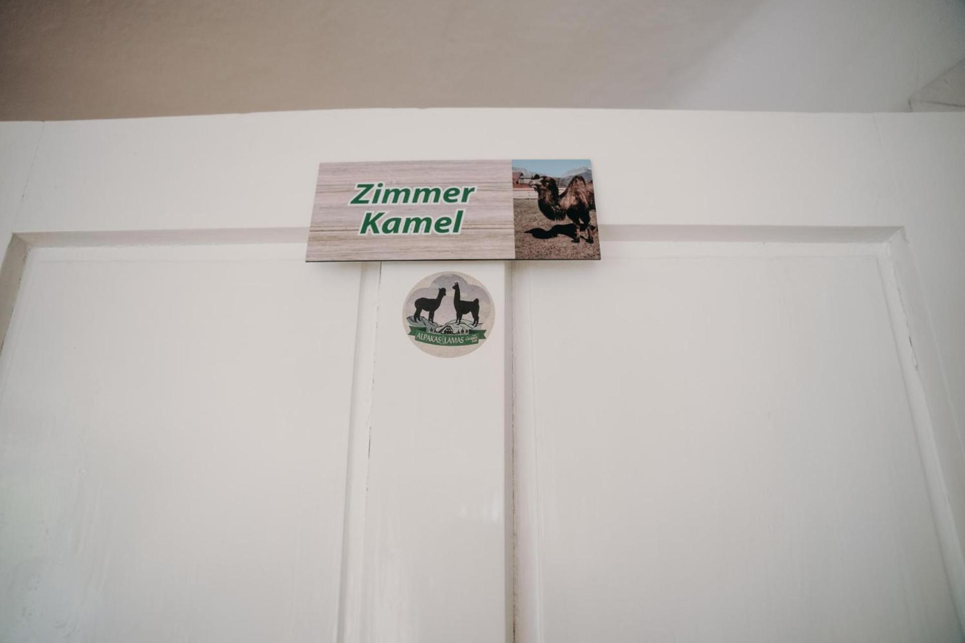 Alpakas, Lamas Und Rentiere Zum Gruenen See Grossdorf  Εξωτερικό φωτογραφία